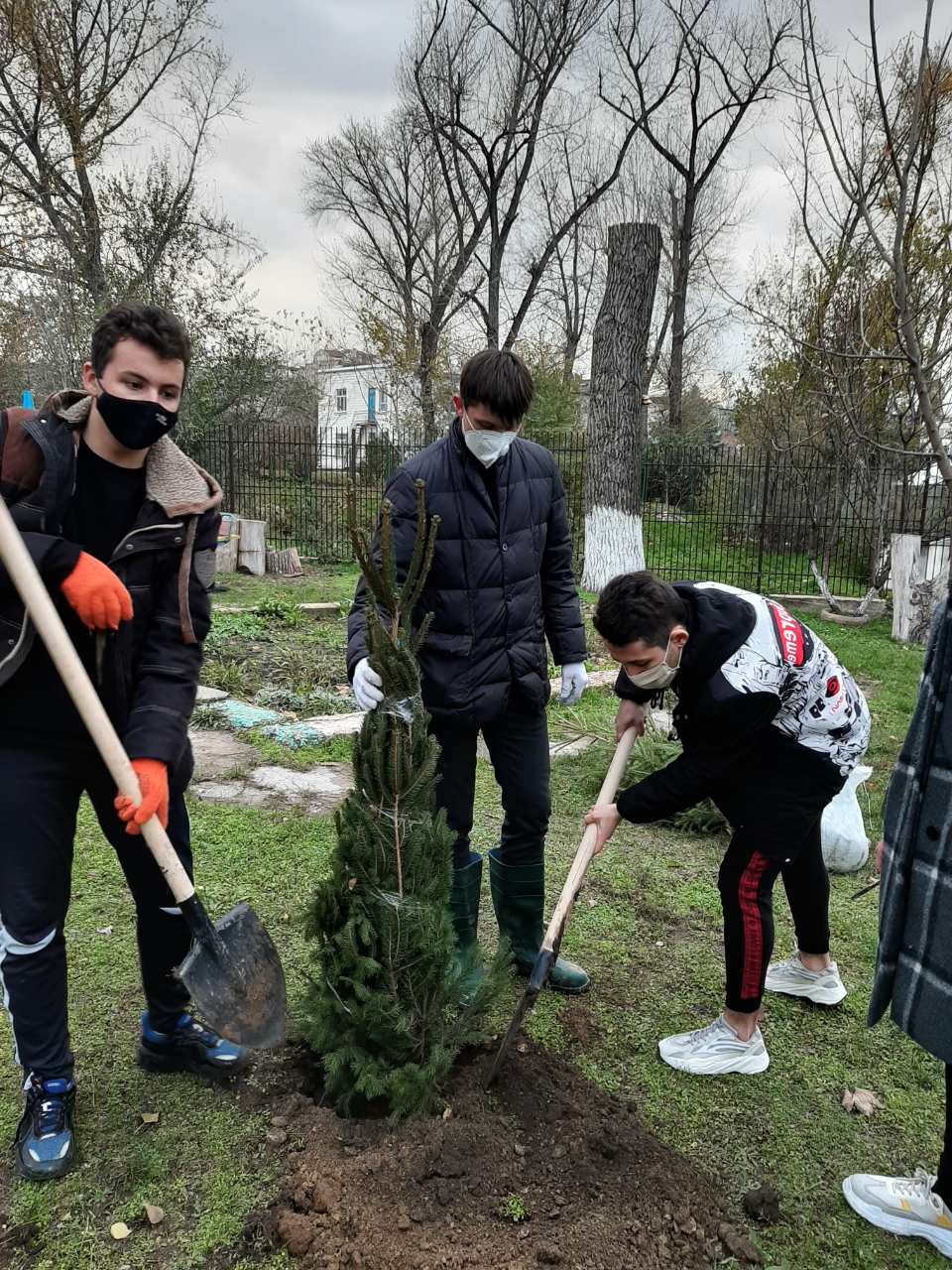 Администрация и родители дошкольного учреждения № 99 благодарят вице-претора сектора Ботаника Юрия Витнянского  за помощь в озеленении территории детского сада.