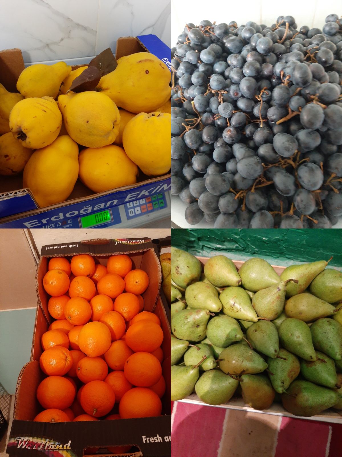 Administrația instituției alături de angajații blocului alimentar tind să mulțumească DETS Botanica pentru reglarea procesului de livrare a produselor